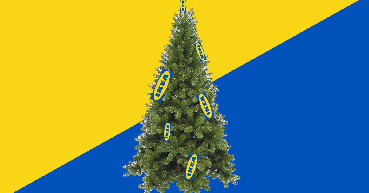 o dennenboom bij ikea scoor je een kerstboom voor 1 euro c