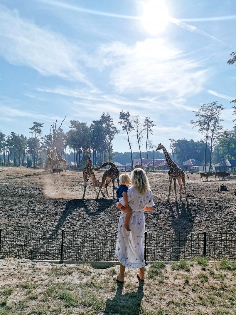 Vakantie met kind in Nederland