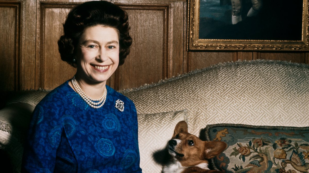 Huisdieren Britse royals