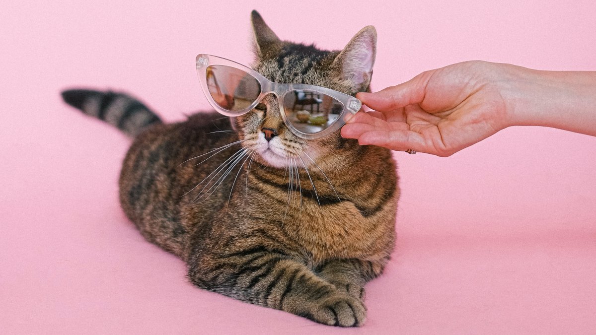 Goednieuwsrubriek 3 mei 2021